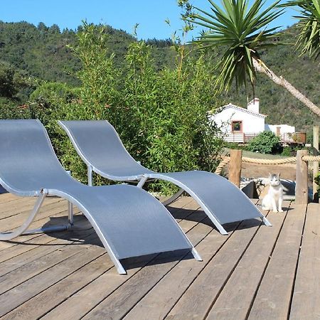 Vida Pura Guesthouse Odeceixe Ngoại thất bức ảnh